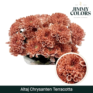 Chr T Altaj Terracotta