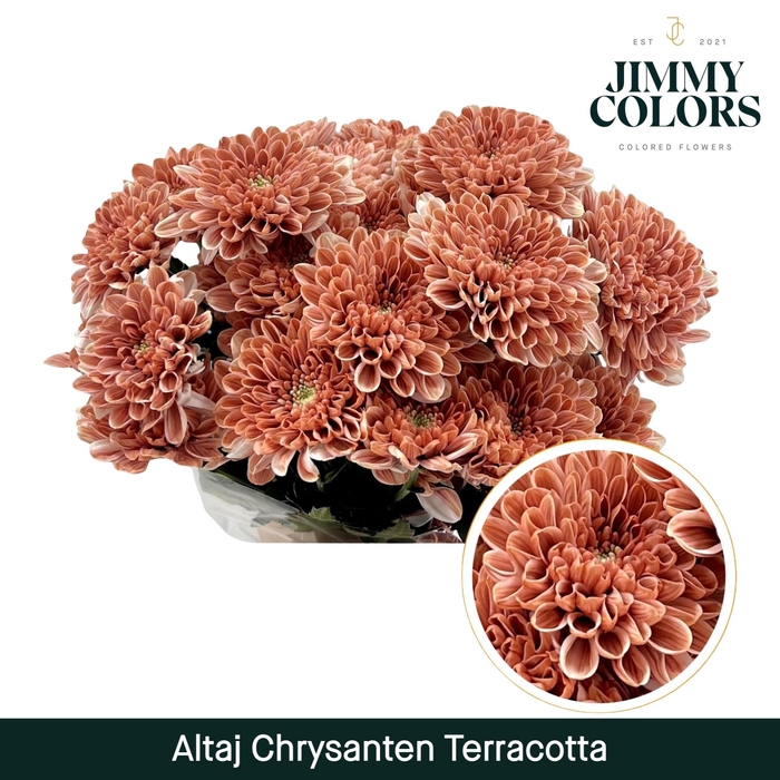 <h4>Chr T Altaj Terracotta</h4>