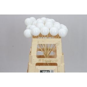 X-mas Balls White X25