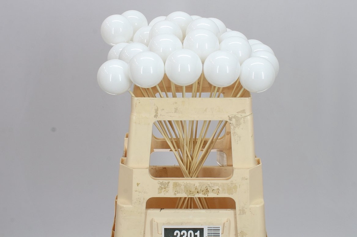 <h4>X-mas Balls White X25</h4>