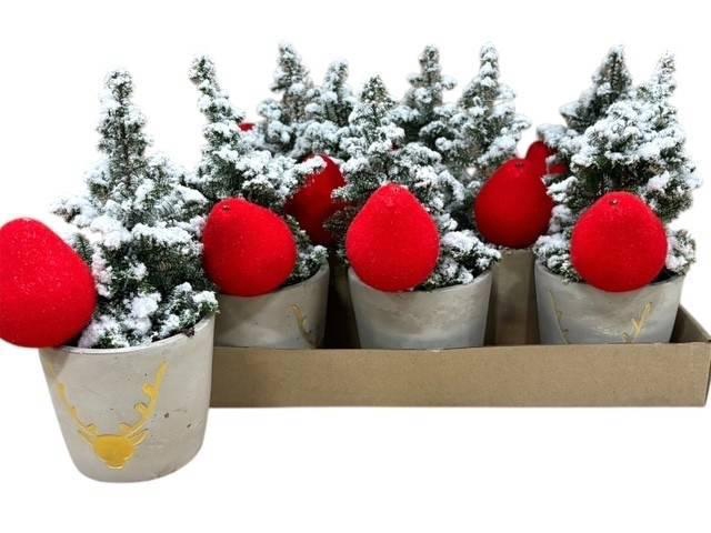 <h4>KERSTBOOM VERSIERD</h4>