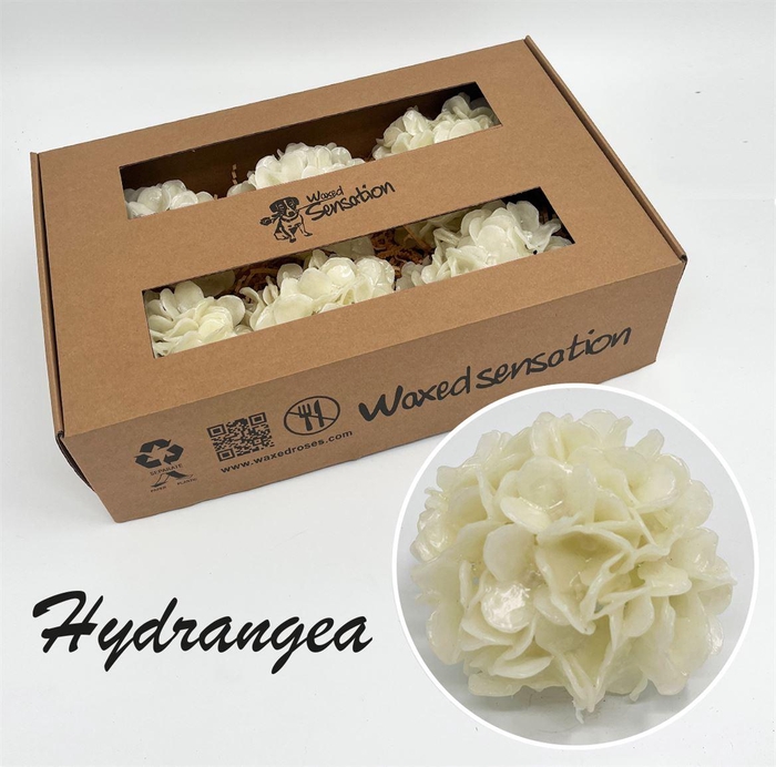 <h4>Zijde Hydr Wx Wit</h4>