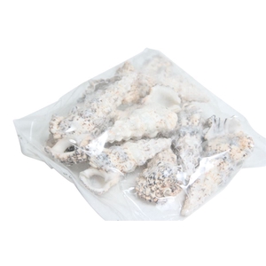 Shell Nodolosum 300g