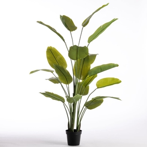 AF Streli N x21 pot H213cm Gre