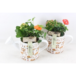arr2 MB - Keramiek gieter herfst print