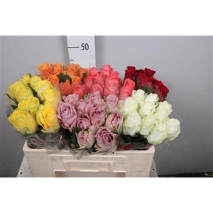 R Gr Gemengd In Fust