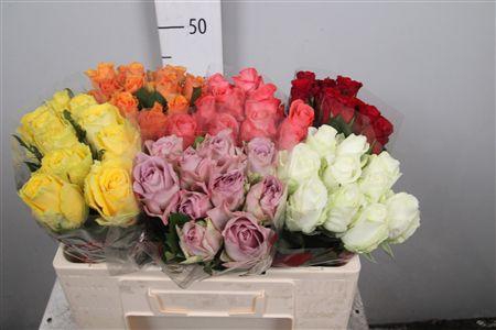 <h4>R Gr Gemengd In Fust</h4>