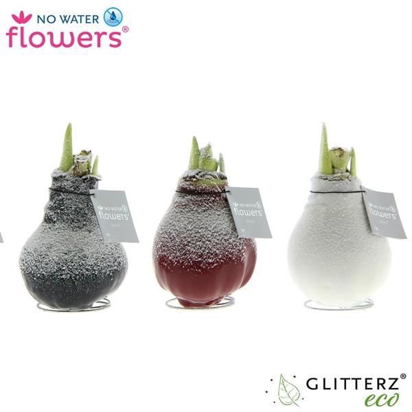 <h4>Hipp Waxz Snow</h4>