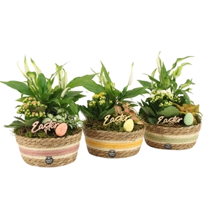 70873: Easter arrangement