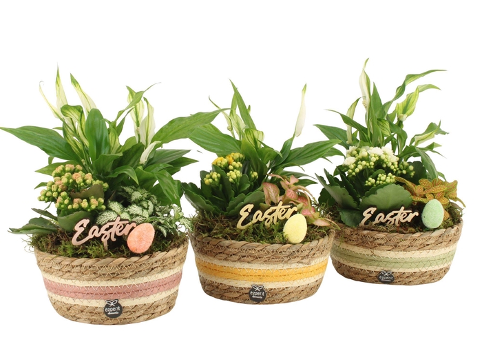 <h4>70873: Easter arrangement</h4>