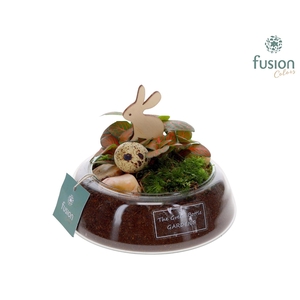 Green Bottle Christel Small Pasen met Fittonia