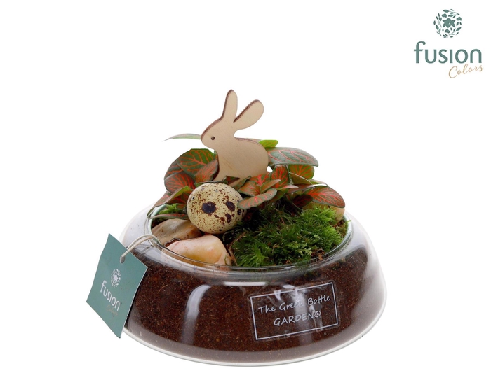 <h4>Green Bottle Christel Small Pasen met Fittonia</h4>