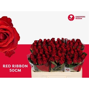 R GR RED RIBBON