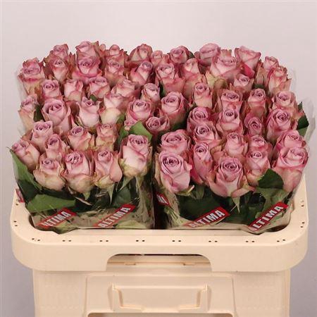 <h4>R Gr Memory Lane!</h4>