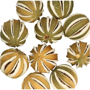 Droogvrucht Sinaasappel d4cm 250g
