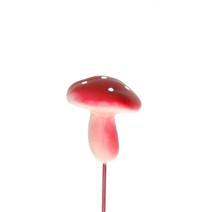 <h4>10cm Paddenstoel 5*5cm</h4>