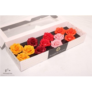 Roos Wax Zijde 9040 M Mix Moods Festival