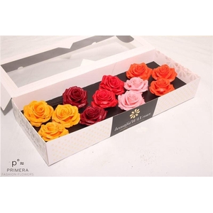 Roos Wax Zijde 9040 M Mix Moods Festival