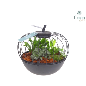 Metaal appel zwart Large met arrangement