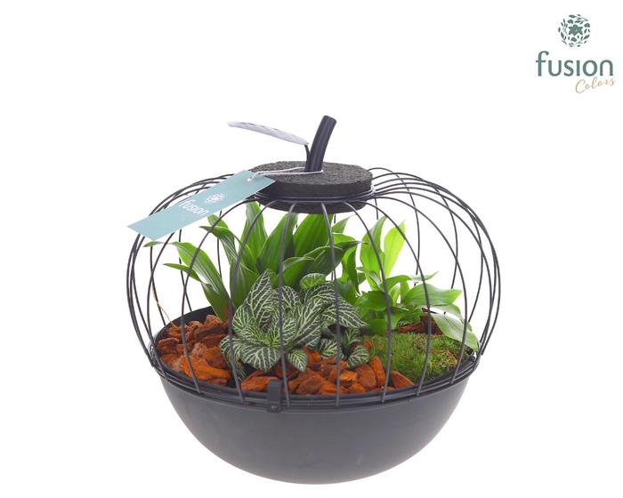 <h4>Metaal appel zwart Large met arrangement</h4>