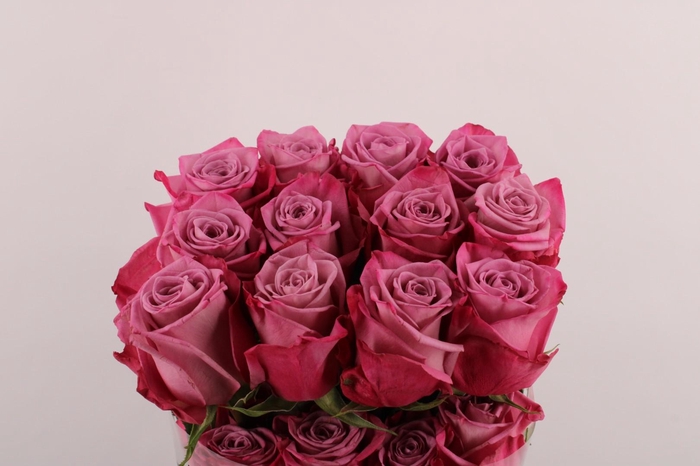 <h4>R Gr Moody Blues!</h4>