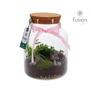 Green Bottle Pot Medium Love met Arrangement