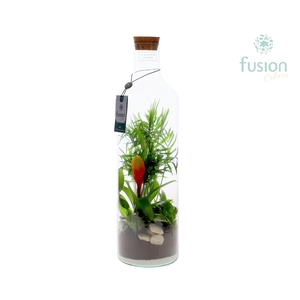 Green Bottle Fles Large met arrangement