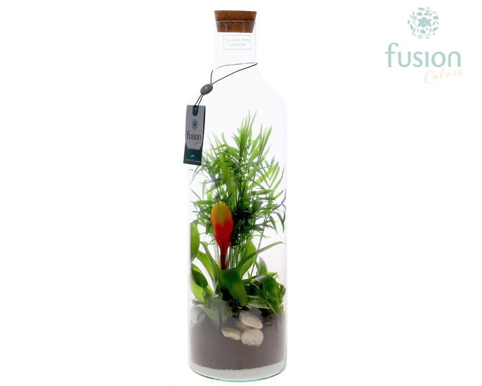 <h4>Green Bottle Fles Large met arrangement</h4>