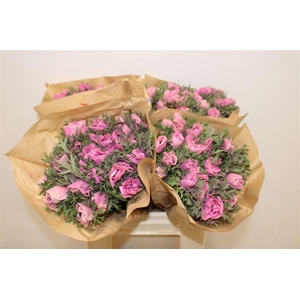 Anem Marianne Powder Pink