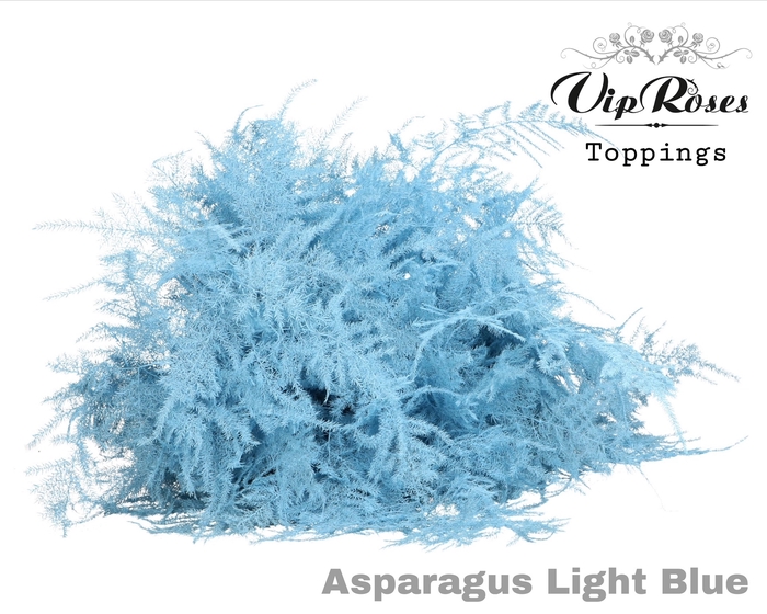 ASP OV GETOPT LANG LIGHT BLUE