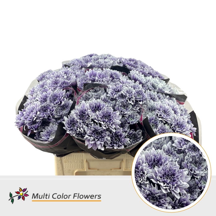 <h4>Chr T Baltica After Eight</h4>