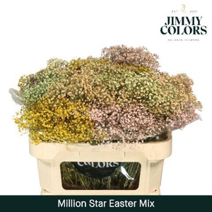 Gyps Million Star L70 Easter Mix