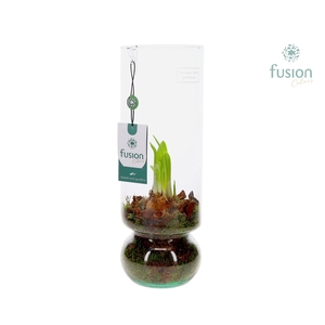 Green BottleAngelica Large met Narcissus