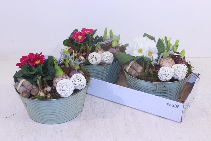 <h4>ARR TUINPLANTEN</h4>