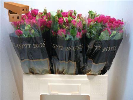 <h4>R Tr Bienvenue!</h4>