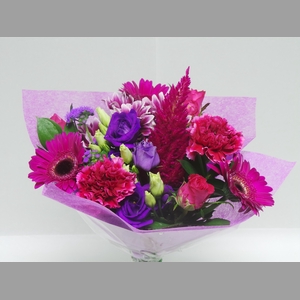 BQ Shorties Lilac