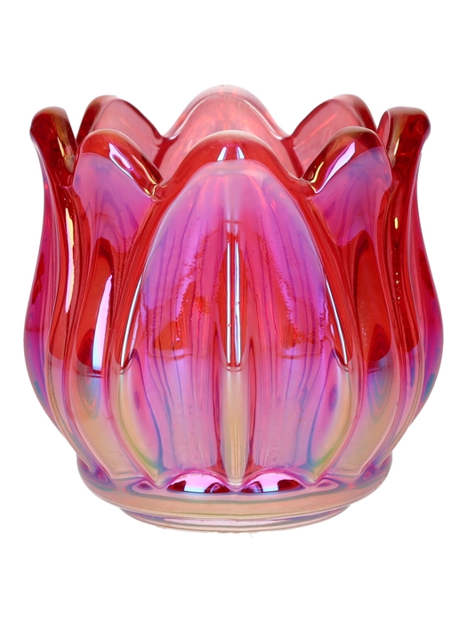 <h4>DF02-666828700 - T-lighthldr Elora d6.7/7xh6.7 cherry+pearl</h4>