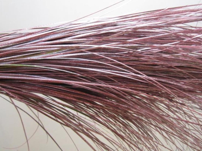 <h4>Beregras Metallic Rood</h4>