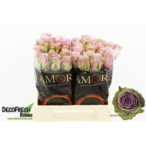 R GR SAMANTHA BRIDAL