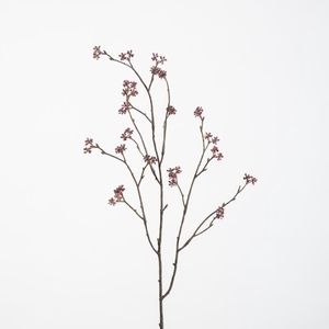 AF Kerria Plenifl. L75cm D.pi