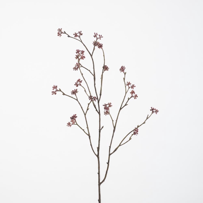 <h4>AF Kerria Plenifl. L75cm D.pi</h4>