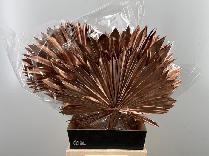 <h4>DROOGBL BEWERKT H%</h4>