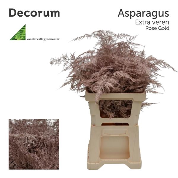 <h4>Asp extra veren Rose gold</h4>