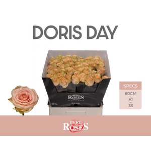 R Gr Doris Day