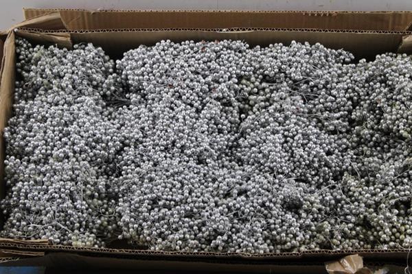 <h4>Sierfruit Schinus Bes *silver</h4>