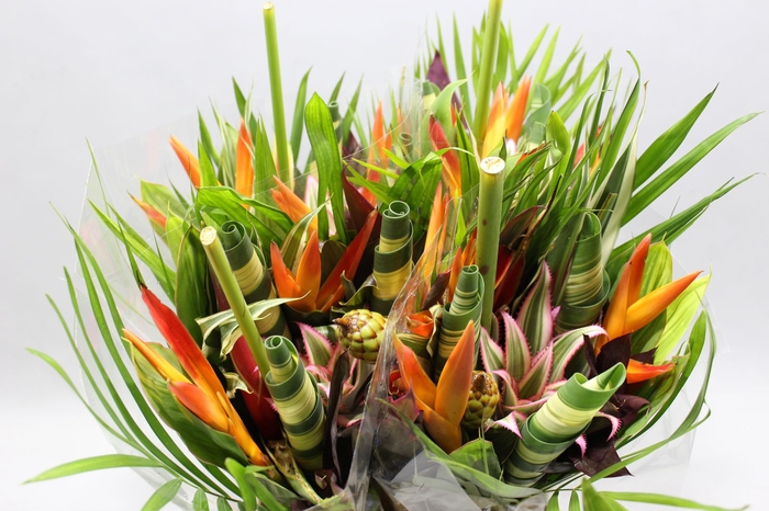 <h4>Heliconia A Bqt Dag Ron 566</h4>