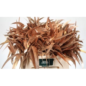 Victoriablad gekleurd Mtlc. Rose Goud.