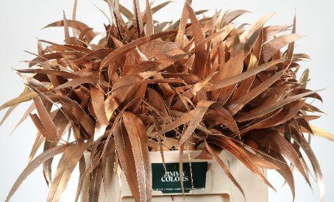 <h4>Victoriablad gekleurd Mtlc. Rose Goud.</h4>