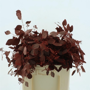 Euca Klb Populus Bes Red 300gr