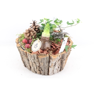 arr4 Amaryllis PL - Boomschors schaal rond